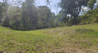 Land for Sale, Hope Estate, Tobago $950,000