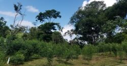 Land for Sale, Hope Estate, Tobago $950,000