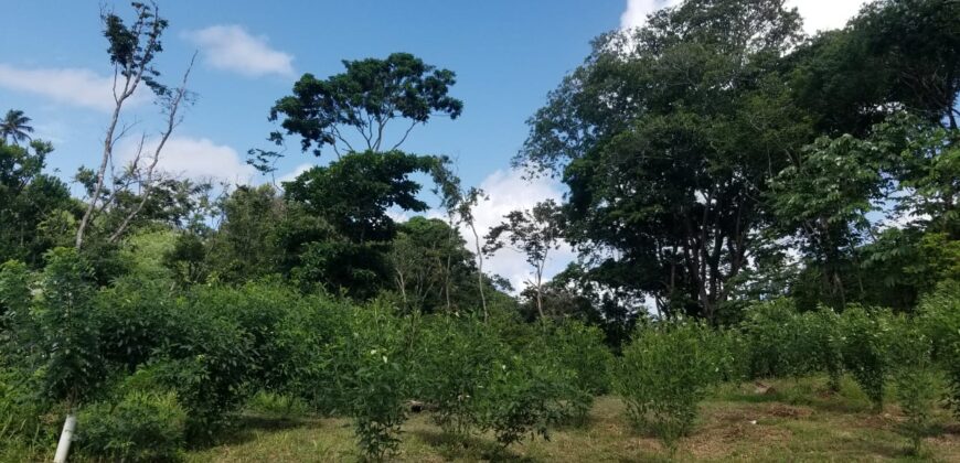 Land for Sale, Hope Estate, Tobago $950,000