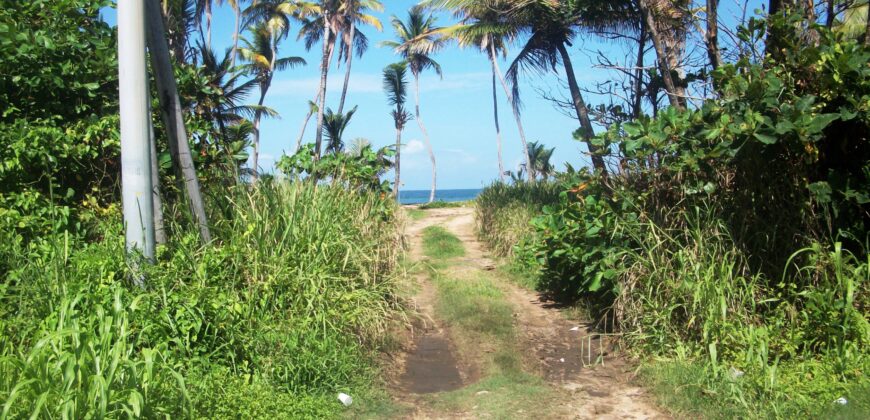 Mayaro 6500sqft of Land for Sale  $650,000