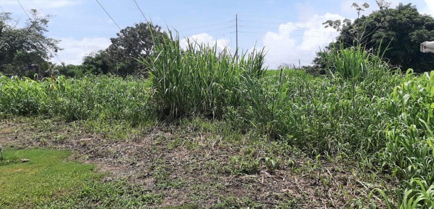 14210sqft Land Central Park, Couva $2,500,000 Neg