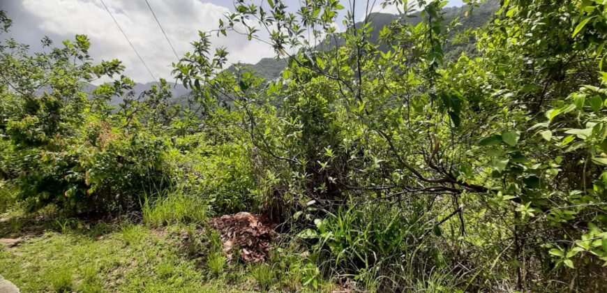 25,000 sqft of Land Maracas Gardens St Joseph $2,500,000