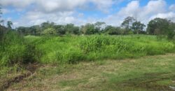 4.7 Acre Parcel of Land Madras Road $4,000,000