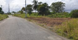 Takaaful Gardens 6265sqft of Land For Sale $550,000