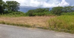 Takaaful Gardens 6265sqft of Land For Sale $550,000