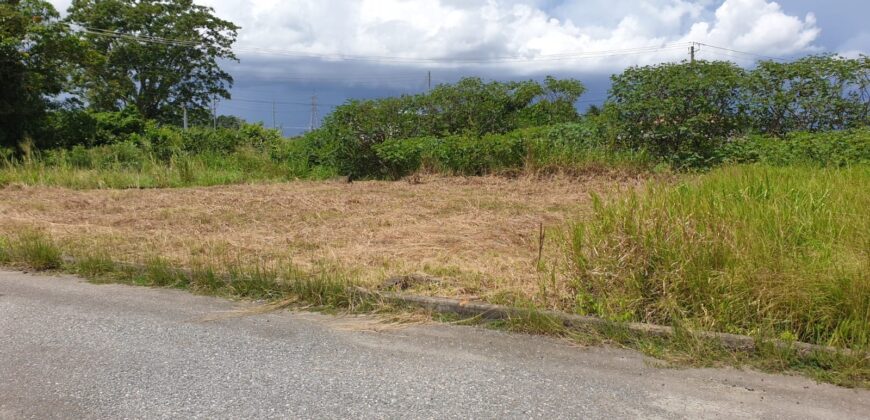 Takaaful Gardens 6265sqft of Land For Sale $550,000