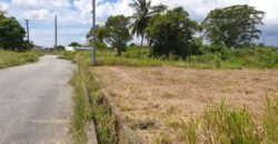 Takaaful Gardens 6265sqft of Land For Sale $550,000