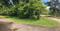 Agricultural land 17424000 sq.ft For Sale in Biche $18,000,000 Negotiable