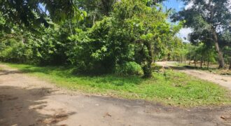 Agricultural land 17424000 sq.ft For Sale in Biche $18,000,000 Negotiable