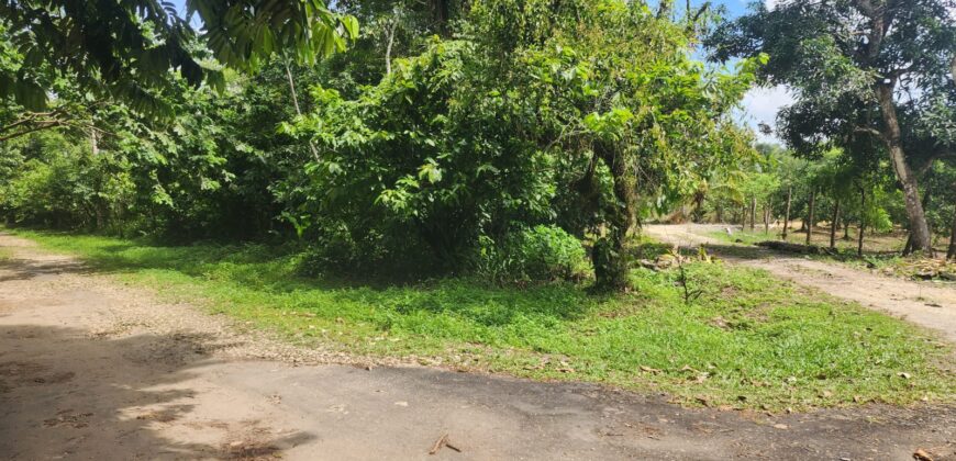 Agricultural land 17424000 sq.ft For Sale in Biche $18,000,000 Negotiable