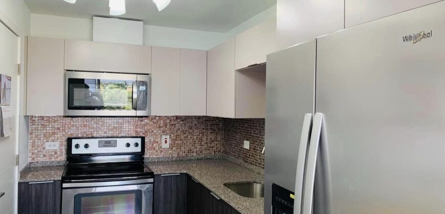 Pine Place Penthouse Unit for Rent! $11,500