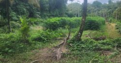 Agricultural land 17424000 sq.ft For Sale in Biche $18,000,000 Negotiable