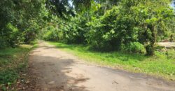 Agricultural land 17424000 sq.ft For Sale in Biche $18,000,000 Negotiable