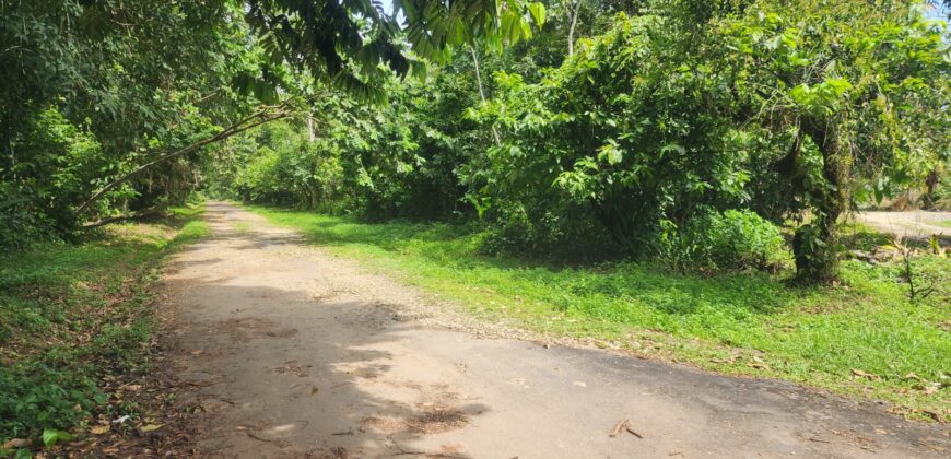 Agricultural land 17424000 sq.ft For Sale in Biche $18,000,000 Negotiable