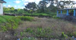 5000 Sqft Land Todd’s Station Road, Caparo $550,000.00