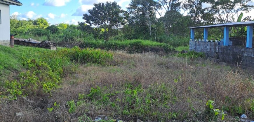 5000 Sqft Land Todd’s Station Road, Caparo $550,000.00