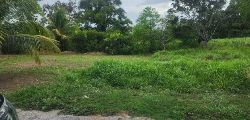 Approved Lot for Sale, Ragoonanan Road $500,000 Neg