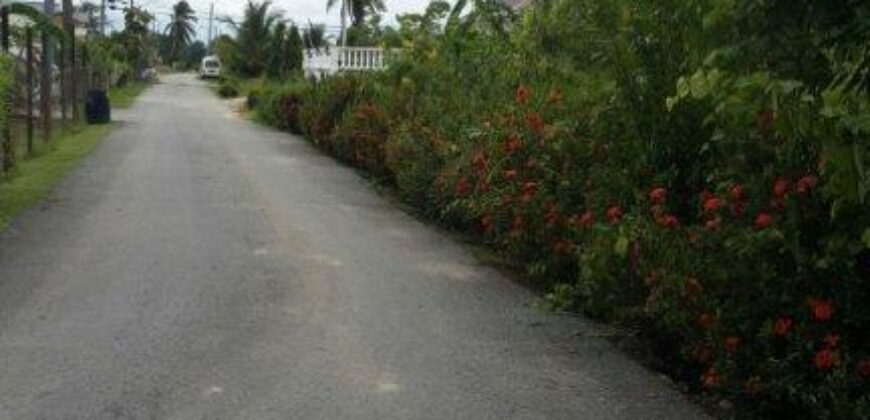 1 Acre of land, Mon Plasir Road, Cunupia $4,500,000 Neg