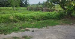 Approved Lot for Sale, Ragoonanan Road $500,000 Neg