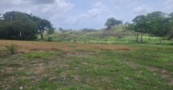 Freeport fully Approved Parcels of Land For Sale! From $750,000 Up
