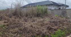 1 Lot of Caroni Land, Behind Cunupia Police Station $500,000 Neg