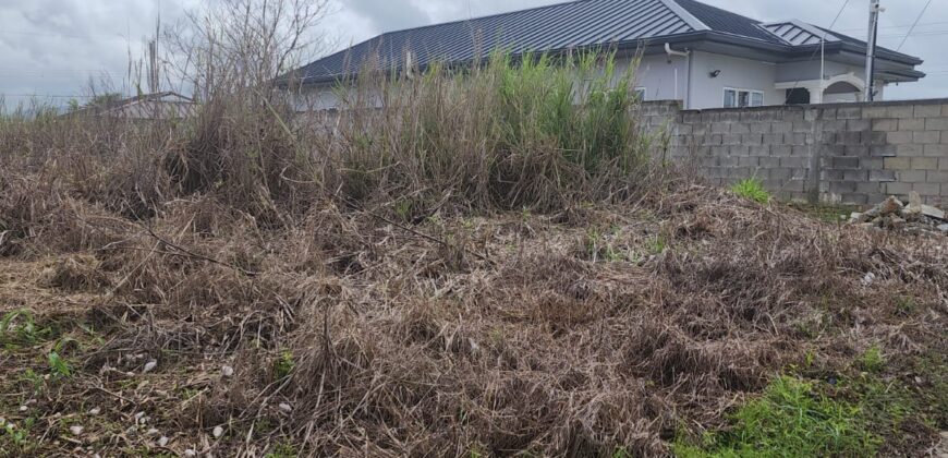 1 Lot of Caroni Land, Behind Cunupia Police Station $500,000 Neg