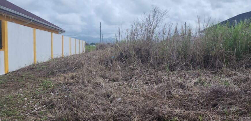 1 Lot of Caroni Land, Behind Cunupia Police Station $500,000 Neg